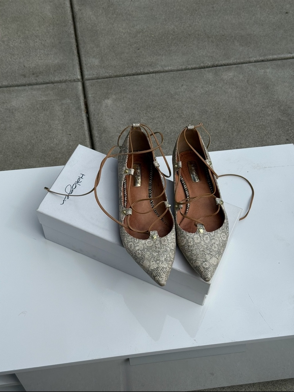 Pointed Lace-Up Flats in Snake Print - Women